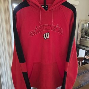 Vtg Wisconsin Badgers Colorblock Hoodie